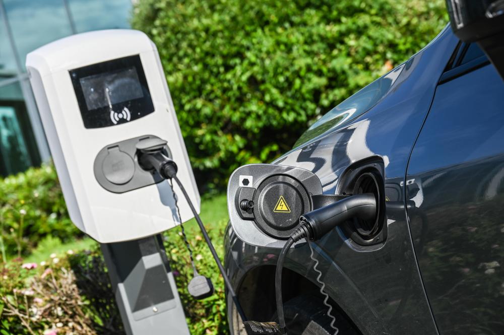 borne electrique (1)
